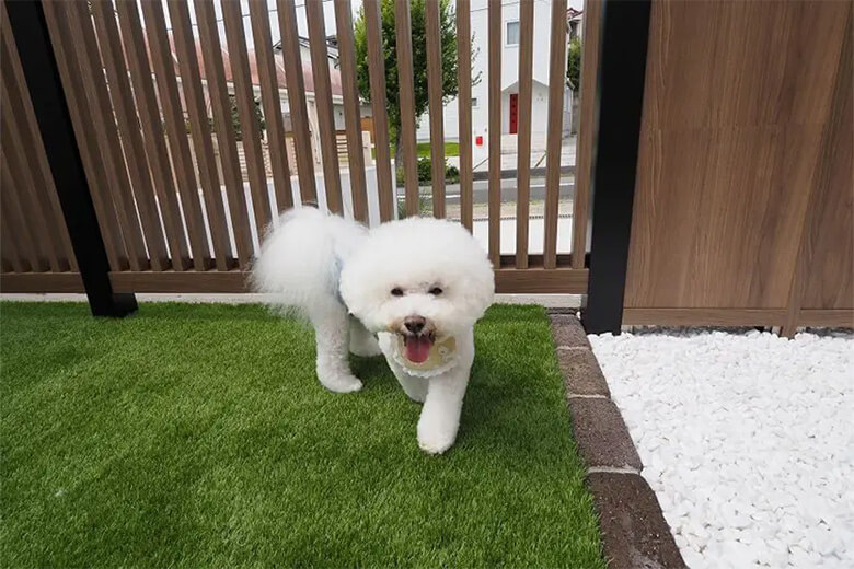 人工芝生のイメージ写真