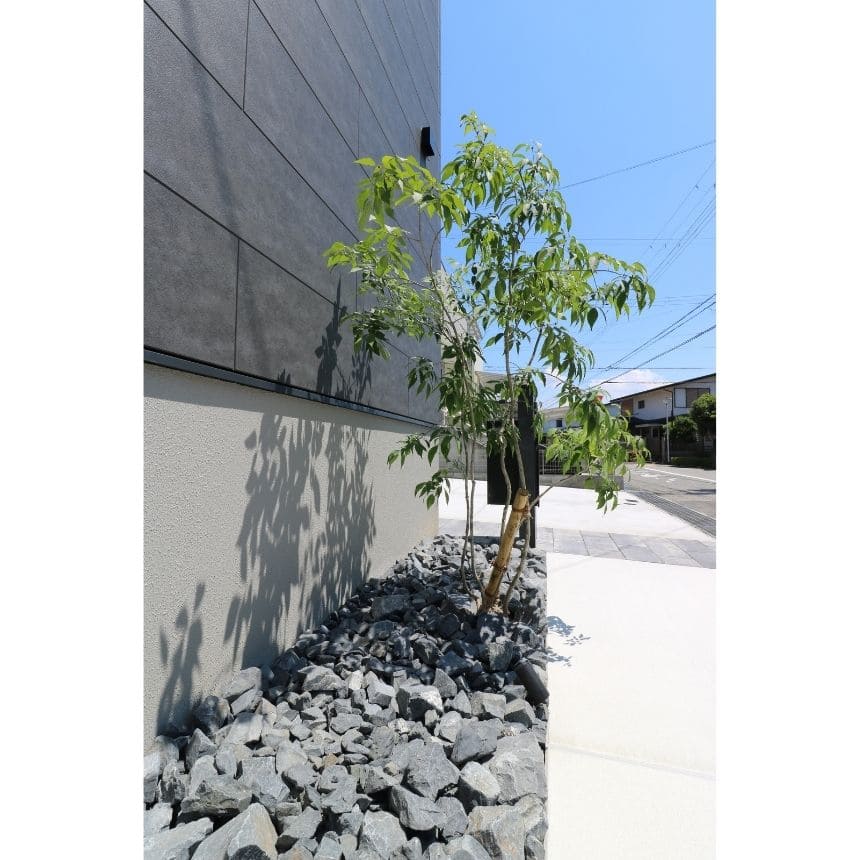 完成写真2